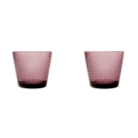 Набор стаканов Iittala Tundra JUOMALASI 0,29л 2 шт серия Тундра