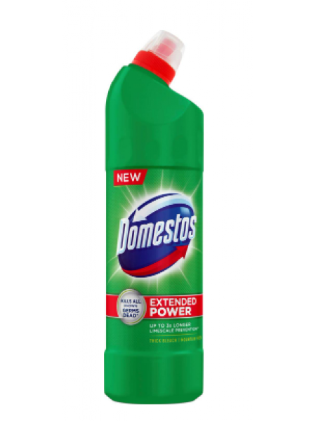 Средство для чистки унитаза Domestos WC Mountain Fresh 750мл