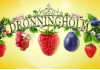 Dronningholm