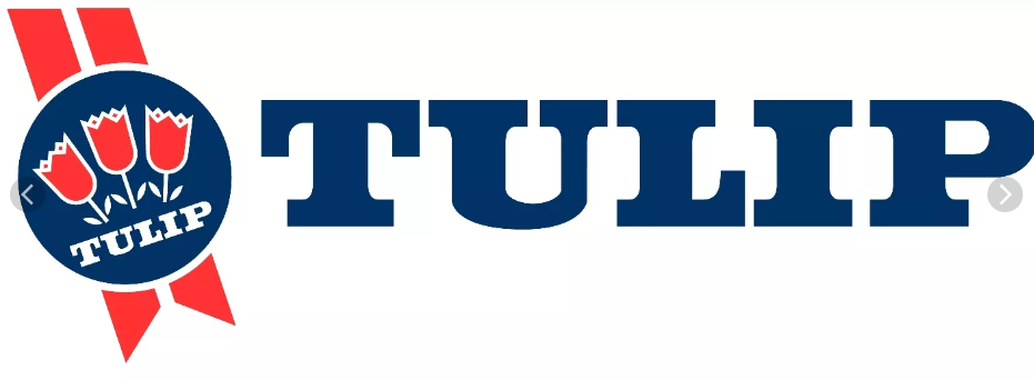 Tulip